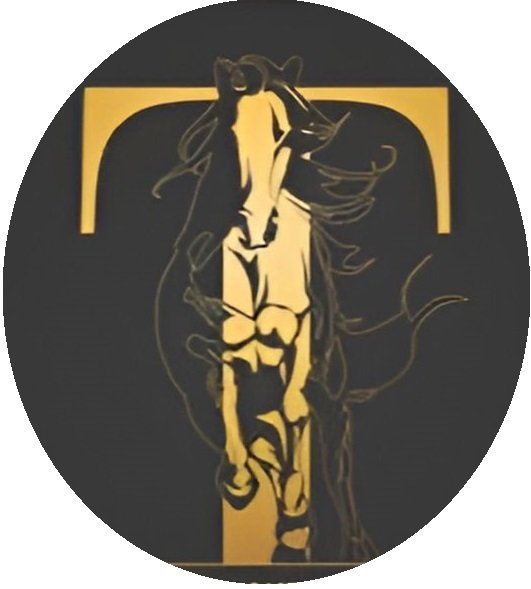 Seylara Group