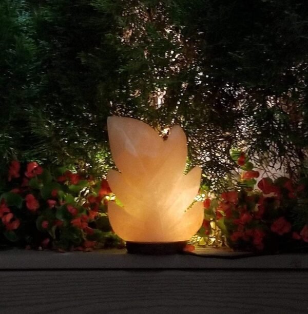 Superb Himalayan Pink Salt Lamp