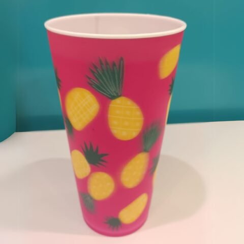 2pc Plastic Glass for Daily Drink and Reusable
