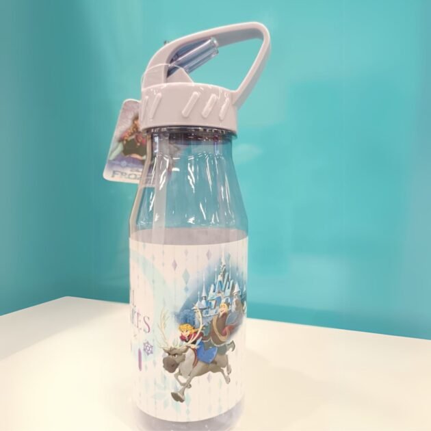 Fancy kids Water Bottle for multiple use for school and for travelling