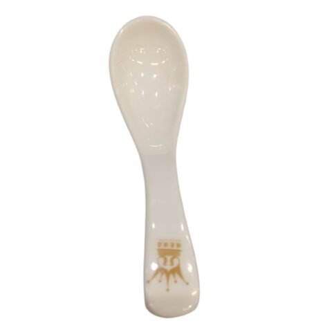 spoon for routine use white