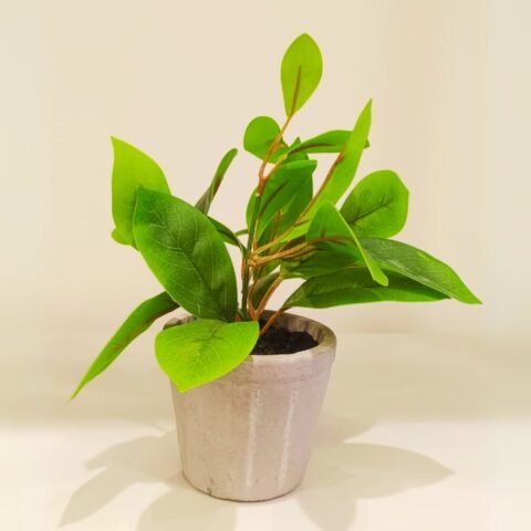 Philodendron painted Lady Artificial Plant
