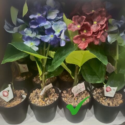 1 Piece red Indoor Artificial Plant for Home Décor C208