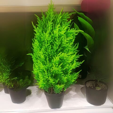 1 Piece Indoor Artificial Plant for Home Décor C211