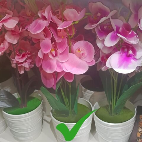 1 Piece Indoor Artificial Plant for Home Décor C206