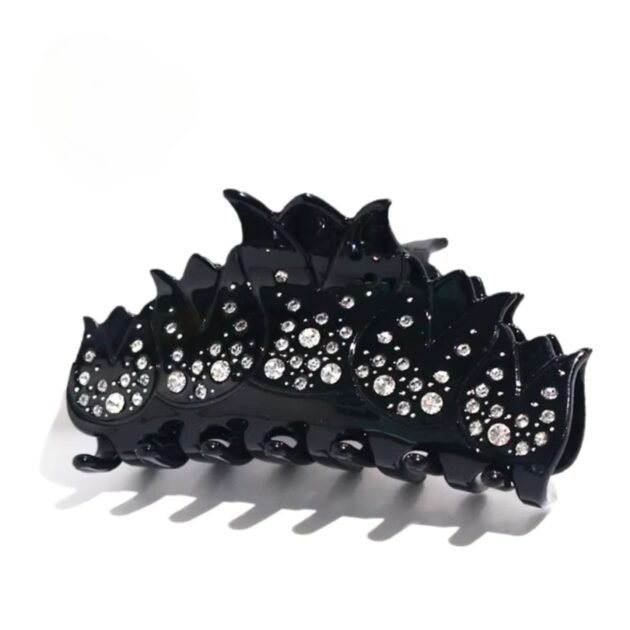 Stylish Clips Group of 6 Pieces